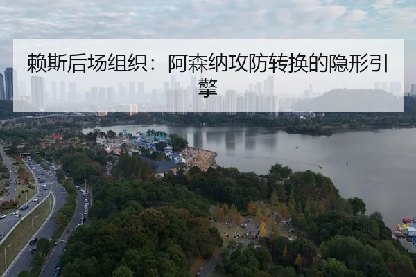 lai-si-hou-chang-zu-zhi-a-sen-na-gong-fang-zhuan-huan-de-yin-xing-yin-qing-3-204.jpg