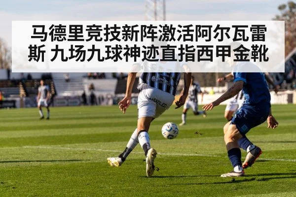 soccer stadium action